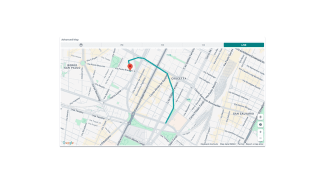 Advanced Map Widget